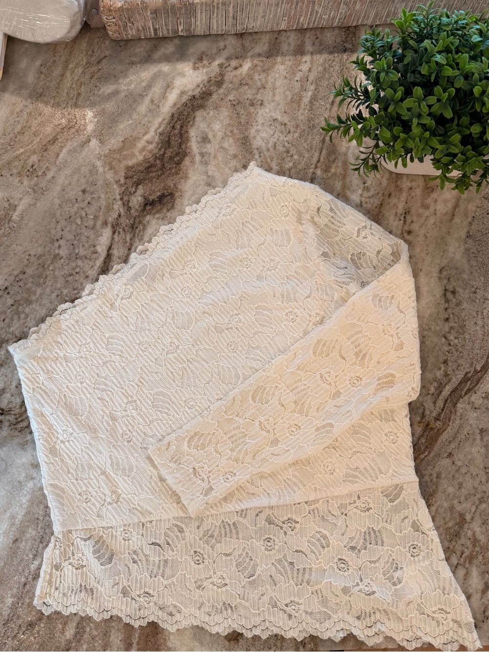 Express Ivory Lace Off-the-Shoulder Top Romantic Feminine Boho